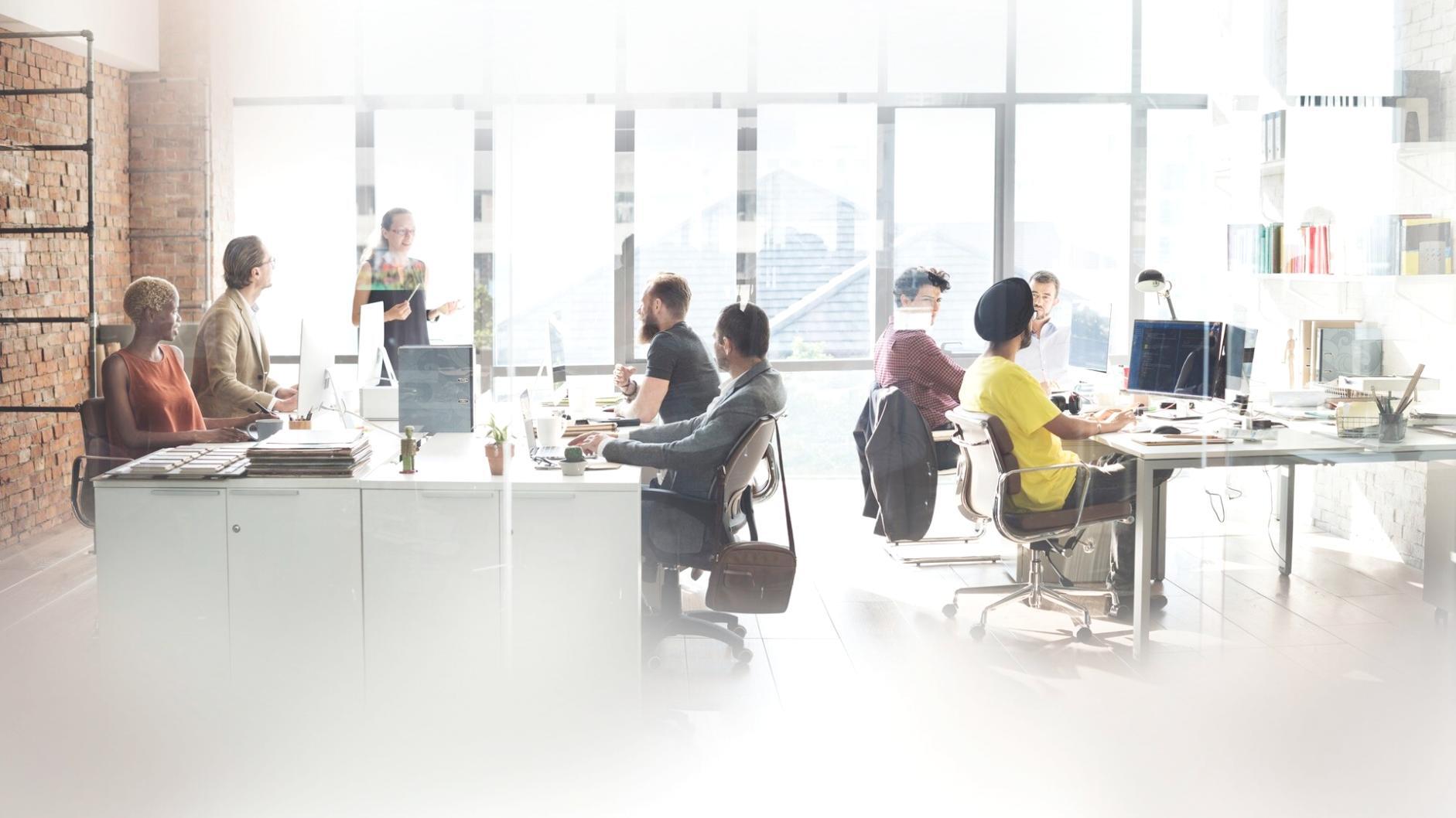 Interaktive Finanzanalyse-Workshops